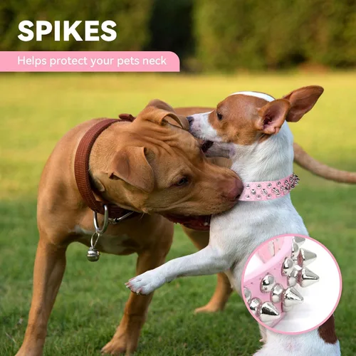 Miniatura 3 de Collar de perro y gato con púas pequeñas y medianas para perros pequeños y medianos, hembras – Collar ajustable con tachuelas – Collar de cuero punk