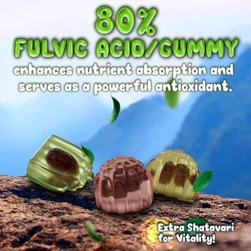 Miniatura 7 de OH MY CHEWY Gomitas puras de Shilajit del Himalaya, resina de grado dorado de alta potencia, refuerzo de energía y apoyo inmunológico para hombres