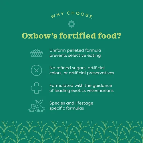 Miniatura 5 de Oxbow Essentials Alimento para Conejos, Senior, Hecho con Alfalfa Oxbow para Conejos, Pellets Ricos en Vitaminas y Minerales para Mascotas