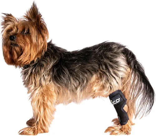 Soporte ajustable para perro – Soporte ajustable para la pierna trasera para dolor en las articulaciones de cornejo, artritis, recuperación de