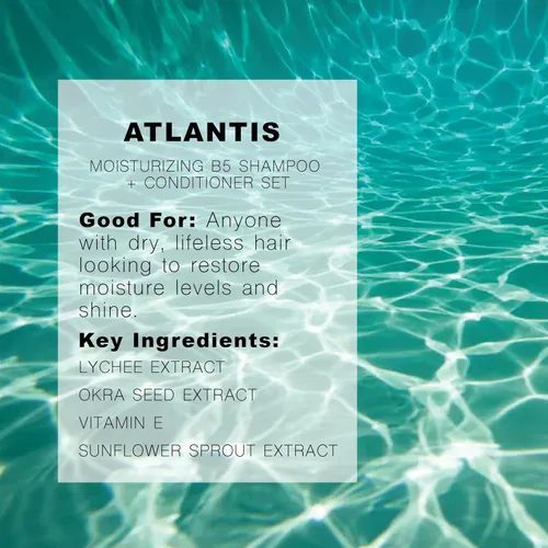 Miniatura 2 de R+Co Atlantis B5 Champú + acondicionador de viaje Hidratación profunda y reparación para cabello seco Vegano + libre de crueldad 2 onzas
