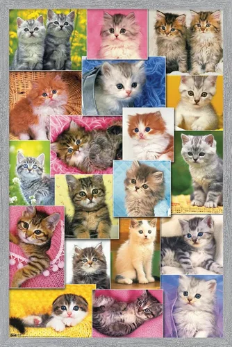 Miniatura 13 de Trends International Keith Kimberlin - Póster de pared de collage de gatitos, 14.725 x 22.375 pulgadas, versión enmarcada de madera de granero
