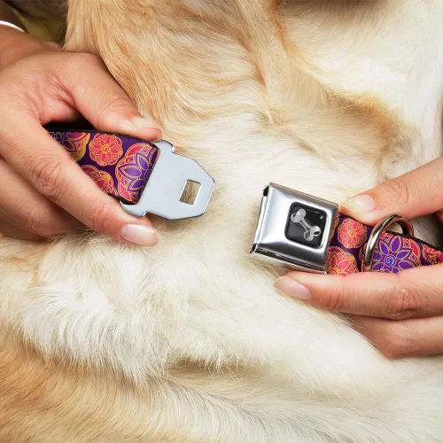 Miniatura 8 de buckle-down 13 – 18" Boho Mandala morados/Naranjas/PINKS perro collar HUESO, Wide pequeñas