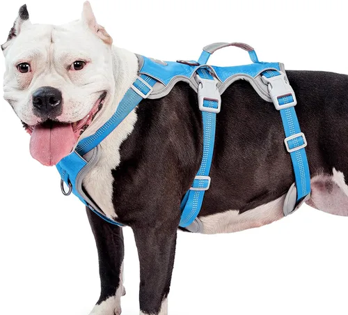 Miniatura 13 de Huntboo Arnés para perro a prueba de escape, arnés reflectante con mango acolchado, transpirable, duradero, chaleco ajustable para perros medianos
