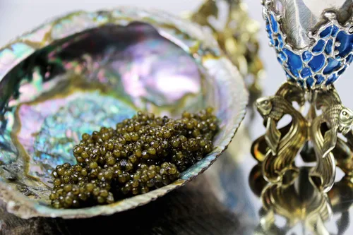 Miniatura 3 de $33 oz. Kaluga Sturgeon Caviar, calidad premium 16 oz 16.01 oz