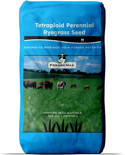 Outsidepride Semillas de riegrass perenne, 50 libras, resistentes y de crecimiento rápido, cubren semillas de cultivo para plantar hojas de hierba