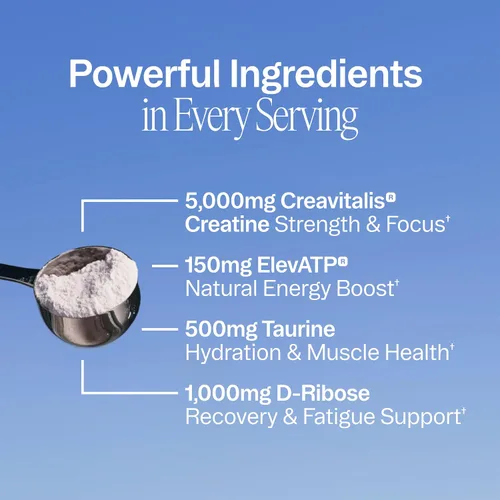 Miniatura 3 de Ora Organic Monohidrato de creatina en polvo, creatina micronizada para mujeres y hombres, creavitalis de origen alemán para la fuerza, elevATP