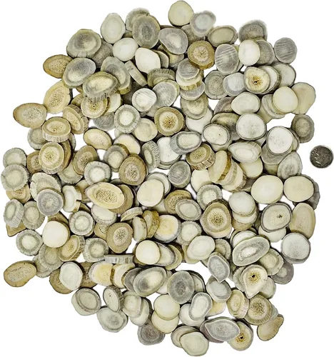 Miniatura 2 de Cuernas/rebanadas de cuernos de ciervo Dakota natural (manualidades, fabricación de joyas, suministros de reborde) (pequeño)