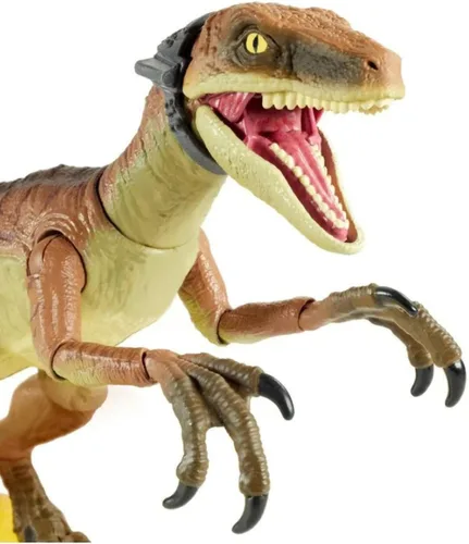 Miniatura 4 de Jurassic World Toys Store Velociraptor Echo - Figura de acción coleccionable de 6 pulgadas (6.0 in) con detalles auténticos de película
