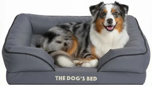 Miniatura 19 de The Dog's Bed - Cama para perros de espuma con soporte para perros XXL, Oxford gris, cama para perro lavable con forro impermeable extraíble, base