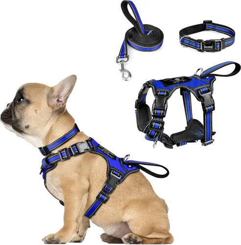 Miniatura 17 de WINSEE - Juego de arnés, collar y correa para mascotas, todo en uno, arnés reflectante para perros sin tirones con hebillas ajustables para Rojo