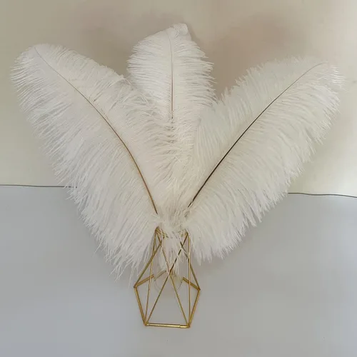 Miniatura 5 de 10 plumas grandes de avestruz rosa intenso de 16 a 18 pulgadas, plumas esponjosas para manualidades, decoración de fiesta en el hogar, centros
