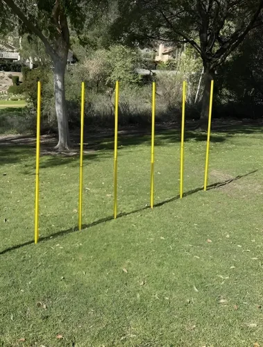 Miniatura 10 de BlueDot Trading Bastones de entrenamiento de velocidad de agilidad de fútbol multideporte, fijos, ajustables o plegables (juegos de 4, 6, 8 piezas)