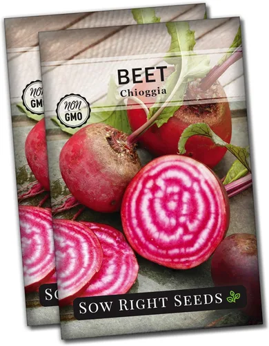 Miniatura 7 de Sow Right Seeds - Semillas de remolacha Chioggia para plantar - Paquete de reliquia sin OMG con instrucciones para plantar y cultivar un huerto