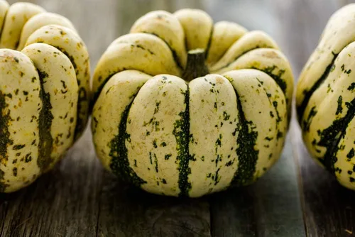 Miniatura 6 de Semillas de calabaza de invierno Sweet Dumpling para plantar, más de 50 semillas de reliquia por paquete, semillas de jardín de Isla