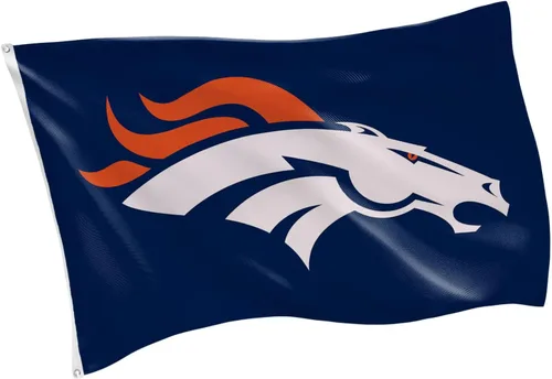 Miniatura 55 de Team Sports America NFL Buffalo Bills - Bandera duradera de 3 x 5 para exteriores con ojales, bandera y pancarta resistentes para jardín al aire