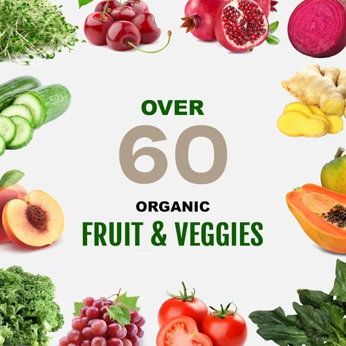 Miniatura 5 de Proteína deportiva vegana en polvo de vainilla – 1.06 oz de proteína a base de plantas, VELOSITOL, BCAAs, verduras y frutas orgánicas, probióticos