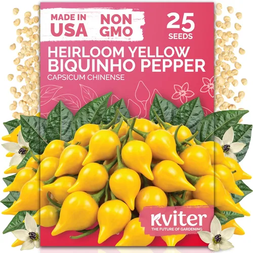 Miniatura 27 de KVITER 3100 semillas de zanahoria tiernas para plantar (Daucus carota) - Semillas de vegetales sin OMG para jardín al aire libre - Zanahorias dulces
