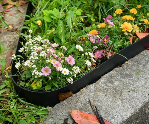 Miniatura 8 de Kit de Bordes Paisajísticos de Jardín Duradero Sin Excavación, Borde de Césped de Plástico Negro de 2 Pulgadas de Alto con 72 Picos de Anclaje
