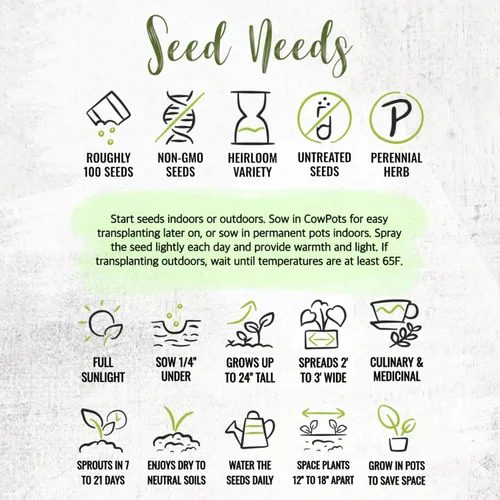 Miniatura 8 de Seed Needs Semillas de salvia para plantar hierbas de hoja ancha, semillas de hierbas culinarias sin OMG y sin tratar para plantar un jardín