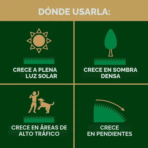 Miniatura 8 de Scotts EZ Seed - Reparador de césped para sol y sombra: cubre hasta 225 pies cuadrados, 10 libras