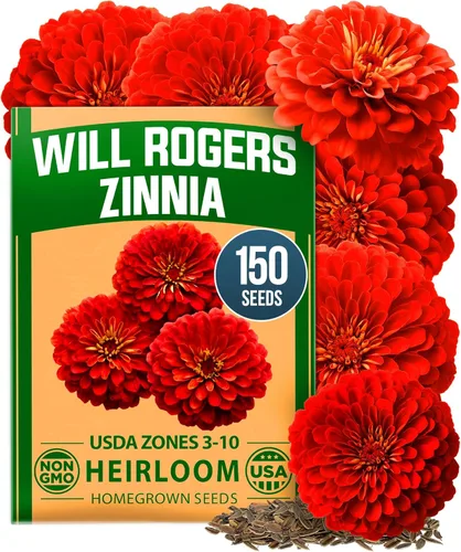 Miniatura 119 de HOME GROWN Mezcla de semillas germinantes de primera calidad, microgreens 118,200 semillas para cultivo en interiores, brócoli, alfalfa, rábano