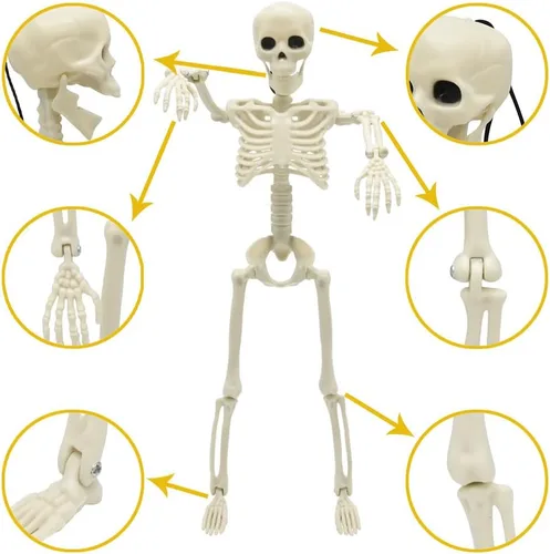 Miniatura 2 de CAMIRUS Paquete de 5 decoraciones de esqueleto de Halloween, mini esqueletos de cuerpo completo de 16 pulgadas con articulaciones articulables