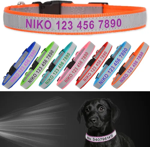 Miniatura 8 de Collar reflectante personalizado para perro, nombre y número de teléfono bordado personalizado para mascotas con hebilla de nailon ajustable en 5