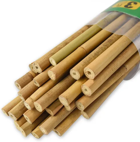 Miniatura 12 de Jollybower 30 piezas de estacas de bambú de 3/10" D más gruesas y resistentes de 2 pies, estacas naturales de jardín para tomate, frijol, flores