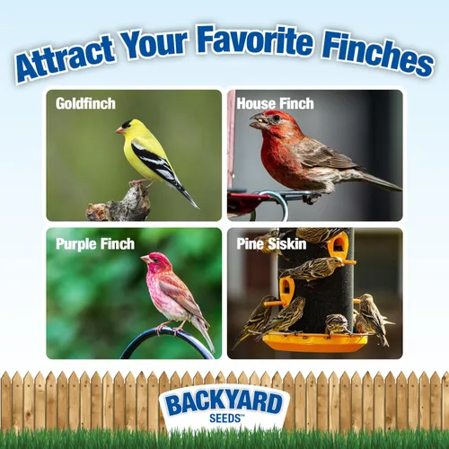 Miniatura 2 de Backyard Seeds Finch & Small Songbird Frenzy 5lbs – Mezcla de semillas de cardo Nyjer prémium para comederos de pinzones, bolsa pequeña de comida