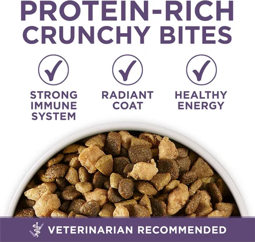 Miniatura 8 de Purina ONE Alimento seco para perros mayores con alto contenido de proteínas, fórmula de madurez vibrante para adultos 7 Plus, bolsa de 31.1 libras