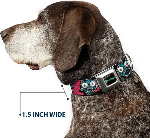 Miniatura 7 de Buckle-Down Collar de perro Hebilla de cinturón de seguridad Rick y Morty Circuito enfrenta Portal Gun 9 a 15 pulgadas 1.0 pulgadas de ancho