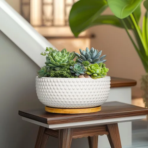 Miniatura 5 de Macetas para suculentas de 8 pulgadas - Macetas de bonsái de cerámica para plantas de interior, maceta con agujero de drenaje y platillo, maceta
