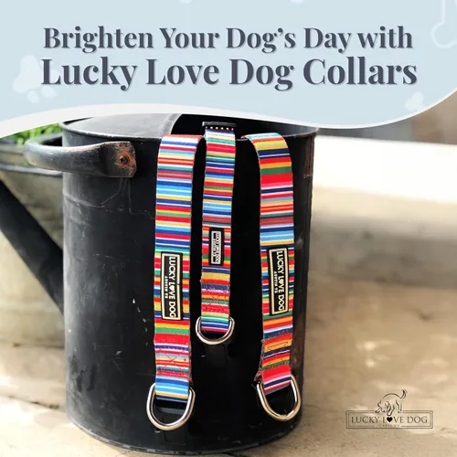 Miniatura 8 de Lucky Love Dog - Collar de perro ajustable con hebilla de fácil clic para los grandes, duradero y cómodo para perros machos y hembras, collar