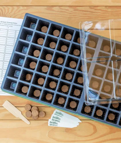 Miniatura 3 de Burpee Kit de inicio de semillas de interior de invernadero + mezcla de inicio de semillas de coco orgánico