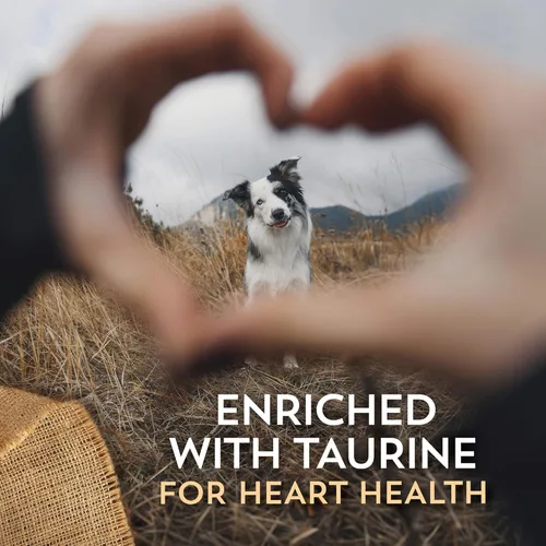 Miniatura 5 de Wholesomes Alimento seco para perros con piel sensible y estómago, receta de proteína de cordero y arroz, granos antiguos altamente digeribles
