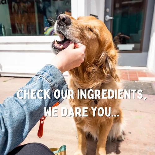 Miniatura 8 de Winnie Lou Bison Liver Bites - Golosinas para perros, ingredientes limitados, grado humano, golosinas de entrenamiento para perros pequeños