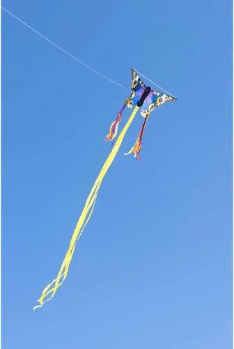 Miniatura 5 de HQ Kites R Butterfly Kite - Cometa de una sola línea de 20 pulgadas con cola