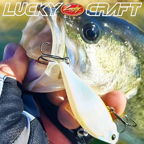 Miniatura 6 de Lucky Craft señuelo de pesca LV-500 cebo con forma de pez Negro (Aurora Black)