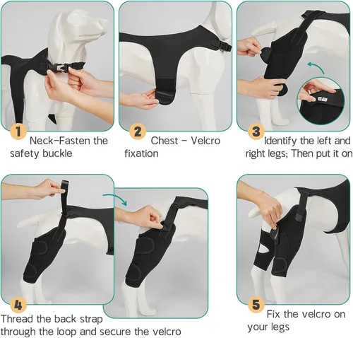 Miniatura 6 de Rodilleras ajustables para patas de perro para pierna trasera, con 4 estabilizadores, ACL para reducir el dolor, lesiones de ligamentos y rótula