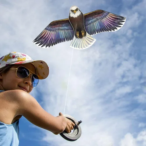 Miniatura 3 de HONBO Cometas de águila para adultos y niños, fáciles de volar para viajes a la playa, actividades al aire libre, línea de 73 a 200 pies con bolsa