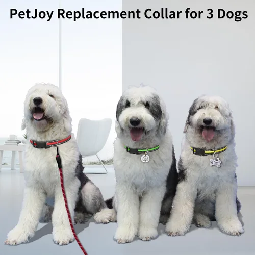 Miniatura 5 de PetJoy Paquete de 3 Collares para Perro - Hebilla de Liberación Rápida y Anillos en D - Multicolor Reflectante (R/A/V) - Ajustable de 8-27