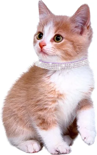 Miniatura 4 de Solmoony Breakaway - Collares de gato con campanilla, collar ajustable seguro para gatito, collares de gato para niñas y gatos con terciopelo suave