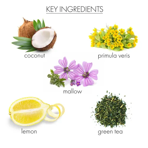 Miniatura 2 de Whish Remedio de manos de coco - Leche de coco y verbena, crema de manos orgánica con ácido glicólico para manos secas, envejecidas, exfoliante e