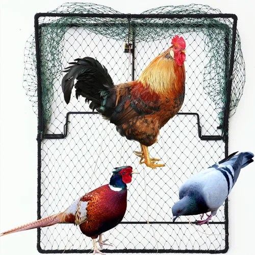 Miniatura 8 de Trampa para Aves Codorniz Paloma Control de Animales Vivos Primavera Aprisionamiento de Estorninos y Pollos