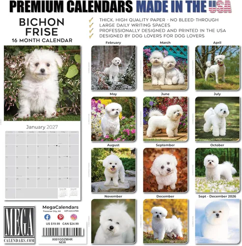 Miniatura 7 de Razas de Perros 2017 BICHON FRISE