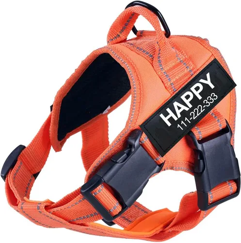 Miniatura 6 de Arnés para perro con nombre personalizado con parche personalizado, chaleco para mascotas sin tirones, fácil control para entrenamiento de caminatas