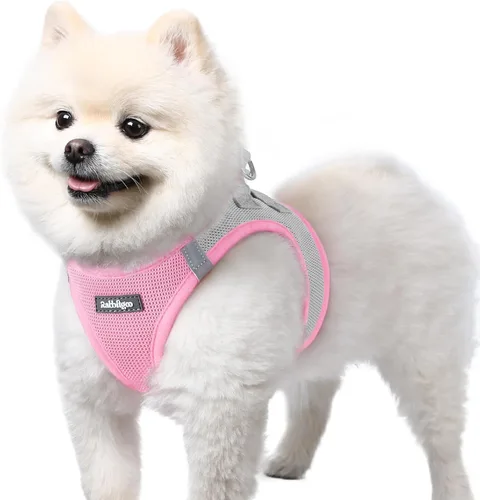 Miniatura 110 de rabbitgoo Arnés para perro pequeño, chaleco de malla suave para cachorros con hebilla de seguridad, arnés reflectante transpirable para mascotas