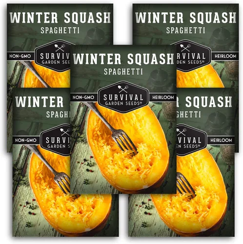 Survival Garden Seeds - Semillas de calabaza espagueti para plantar - 5 paquetes con instrucciones para plantar y cultivar calabazas de invierno