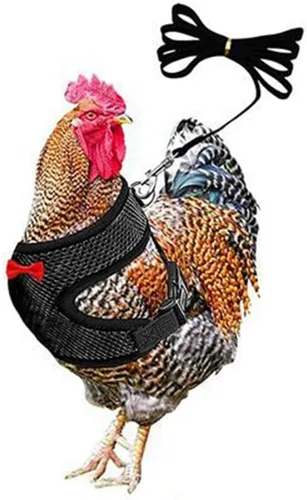 Juego de arnés y correa para pollo, malla ajustable, transpirable, arnés de entrenamiento de pato, correas para mascotas, correas para ganso,